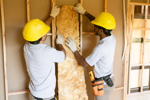 Best Blown-in Insulation  in Camp Wood, TX