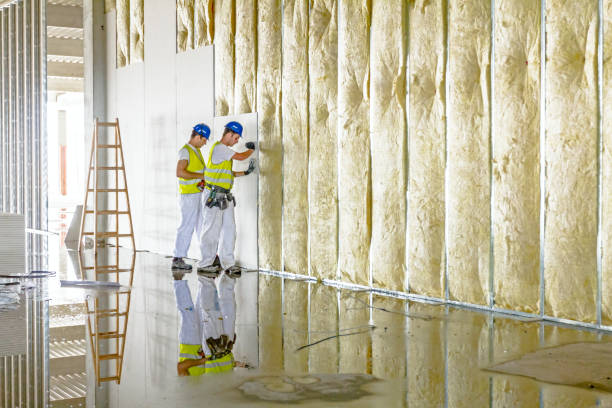 Best Affordable Insulation Services  in Camp Wood, TX